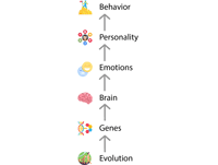 The relationship between genes, the brain, emotions, and personality.